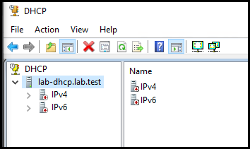 The DHCP console showing the IPv4 and IPv6 in a disabled state